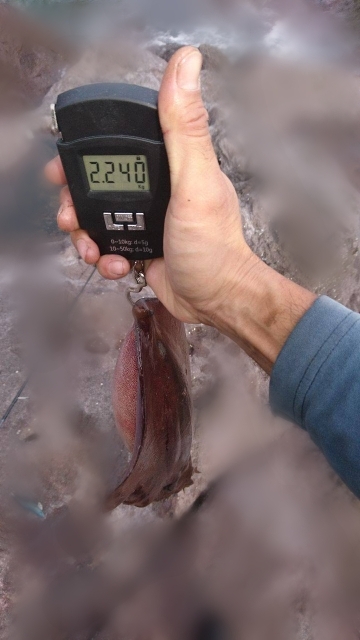 まさかこんな所に!?